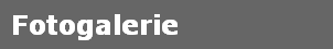 Fotogalerie