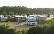 Platzhalter-Bild